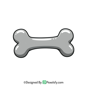 Bone Png Image 44