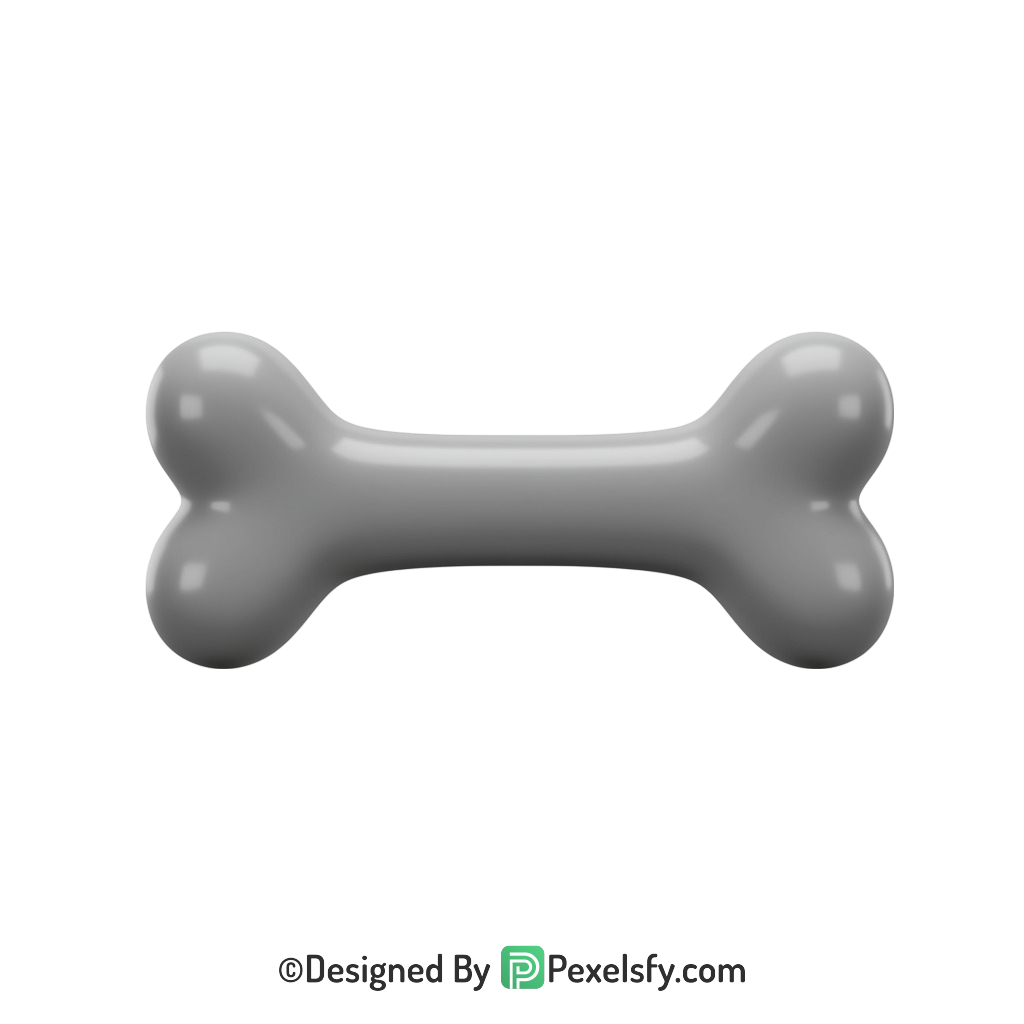 Bone Png Image 59