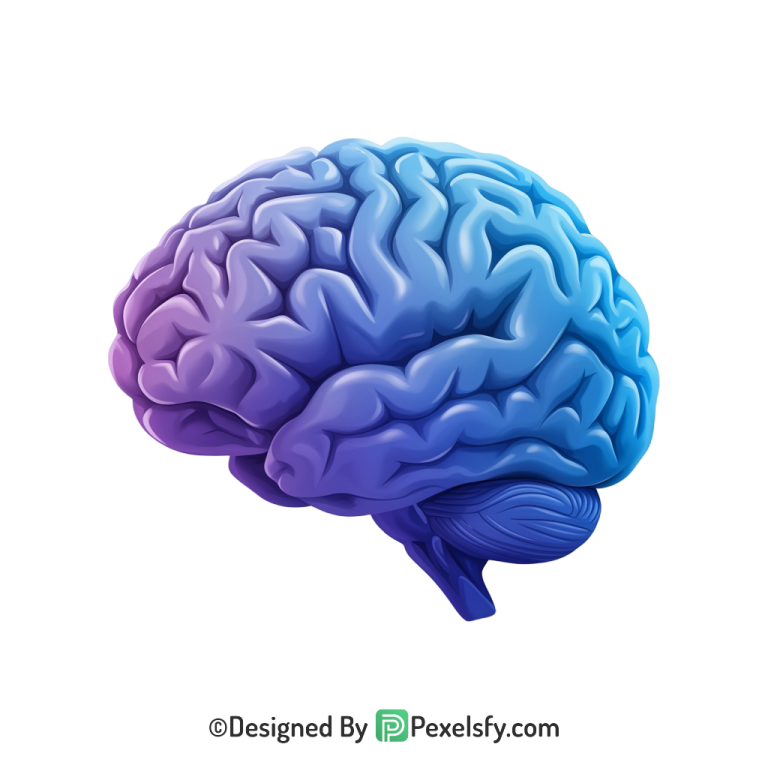 Brain Png Image 2