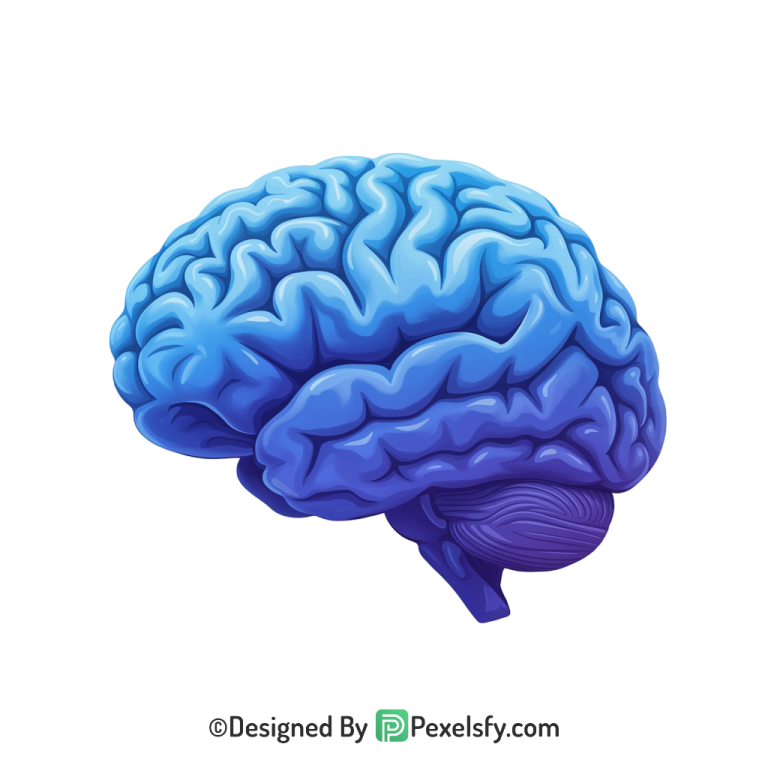 Brain Png Image 20