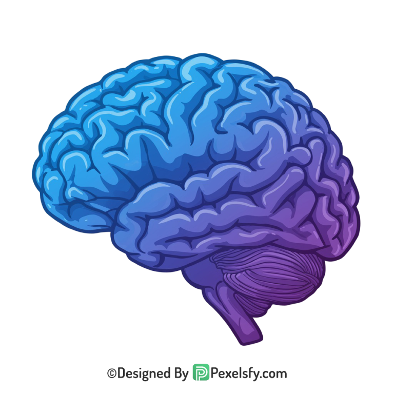 Brain Png Image 21