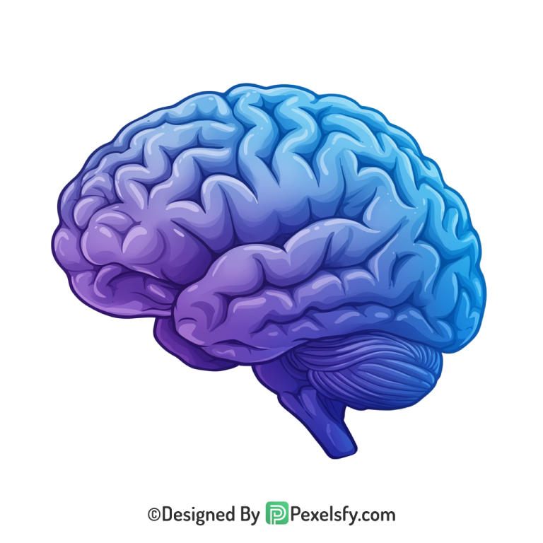 Brain Png Image 22