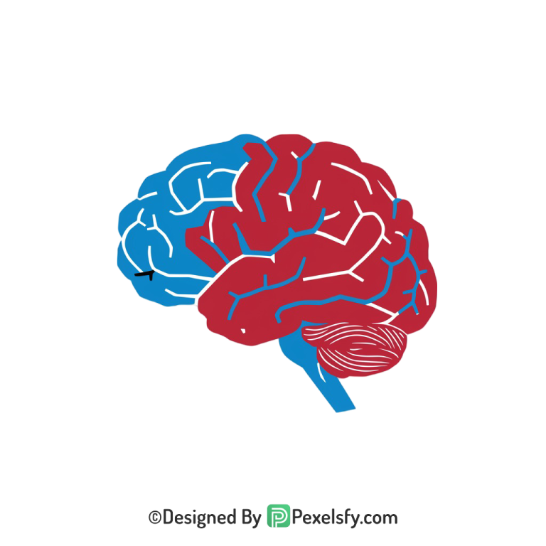 Brain Png Image 28
