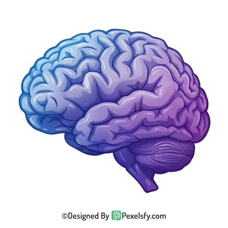 Brain Png Image 33