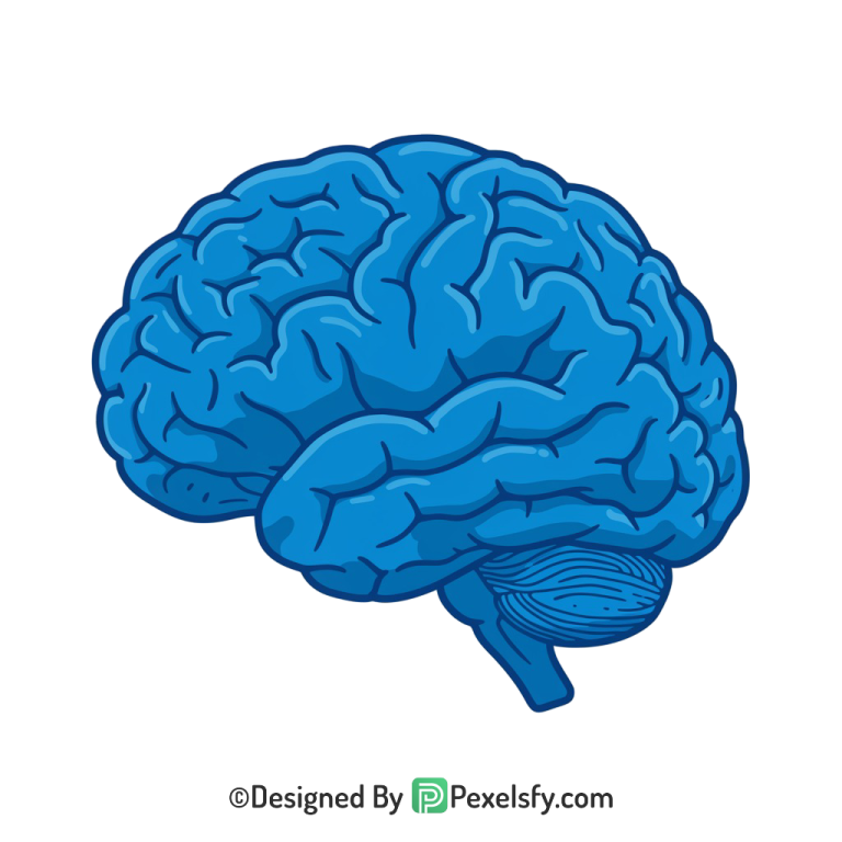 Brain Png Image 37