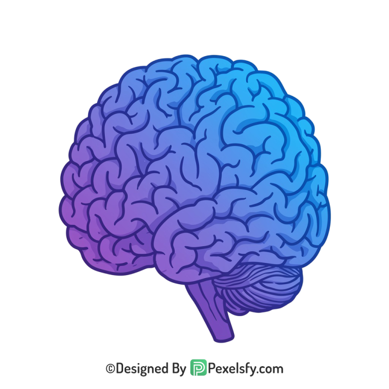 Brain Png Image 39