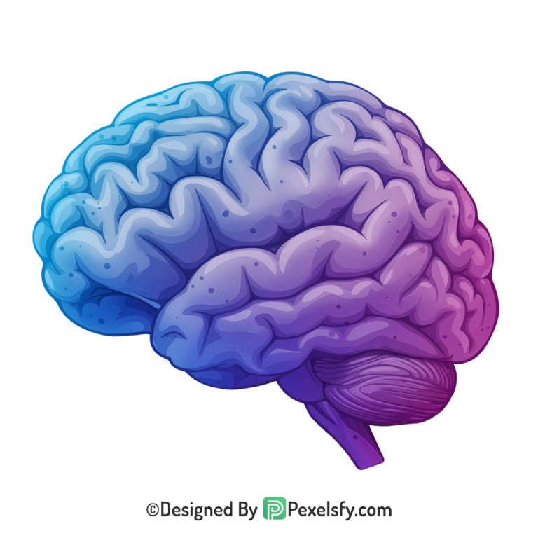 Brain Png Image 4