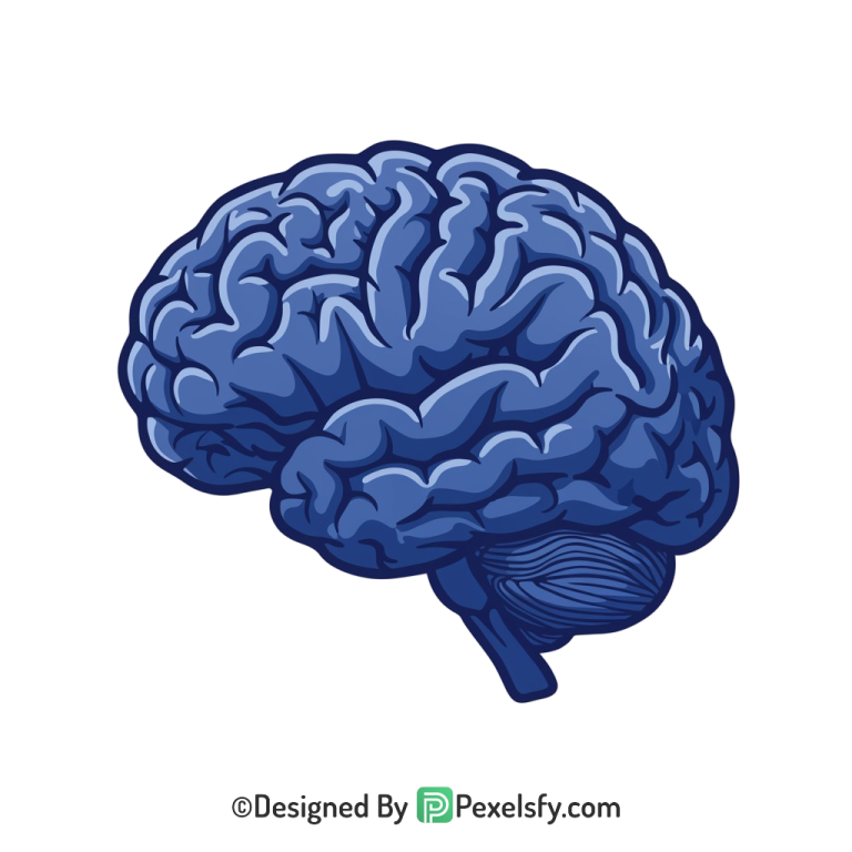 Brain Png Image 45