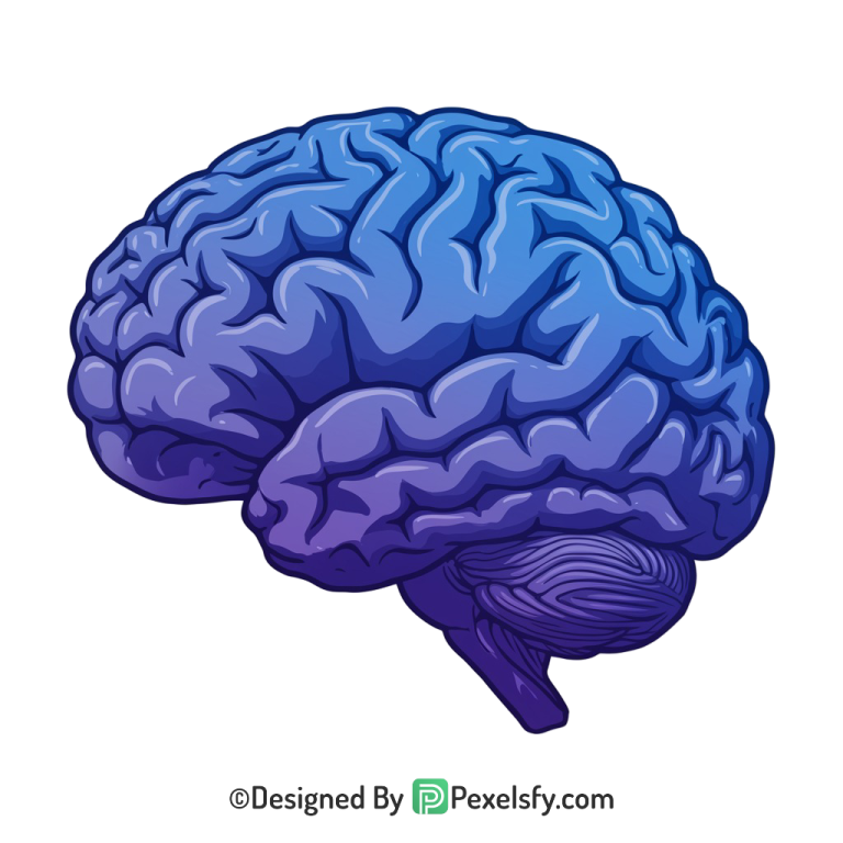Brain Png Image 5