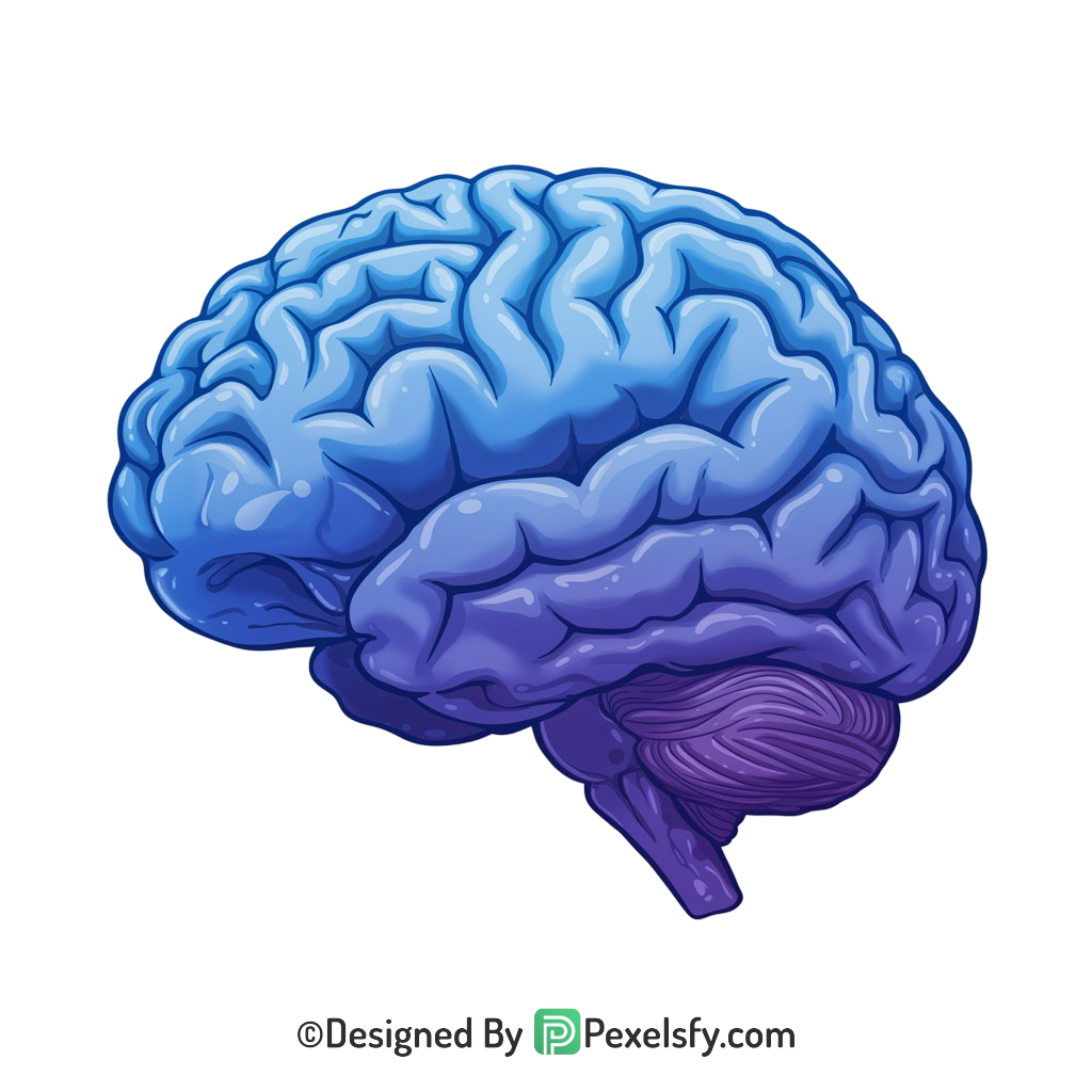 Brain Png Image 75
