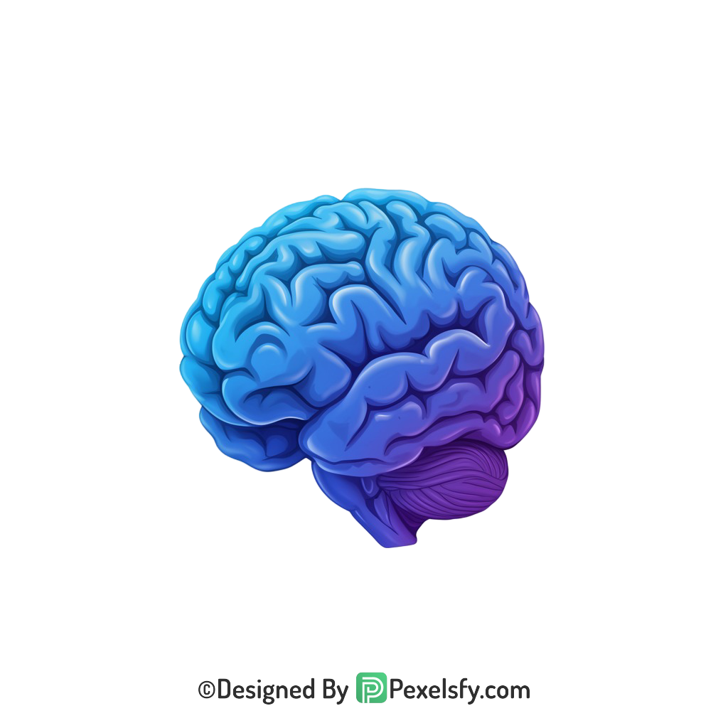 Brain Png Image 76