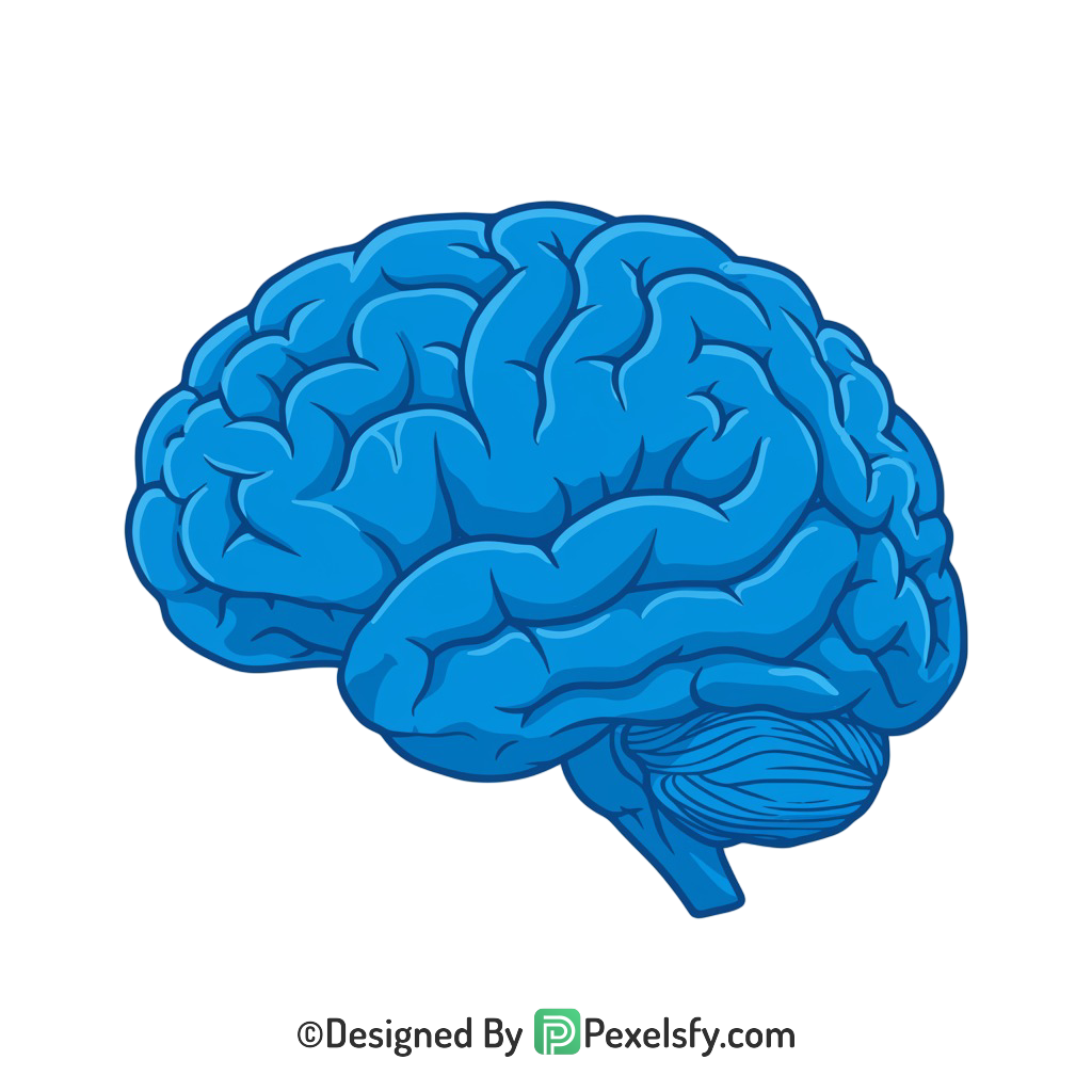 Brain Png Image 88