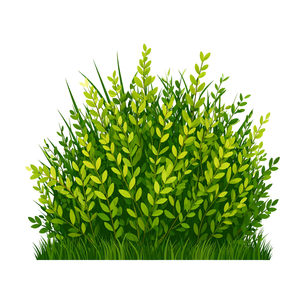 Bush Png Image 7
