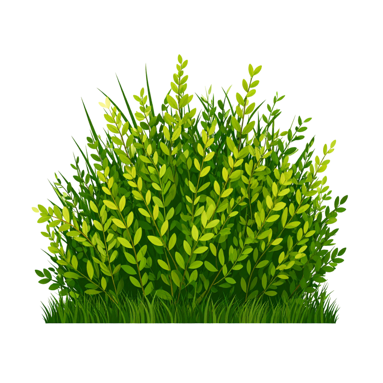 Bush Png Image 7