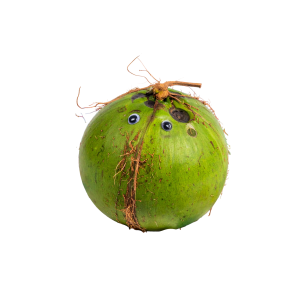 Cocomelon Png Image 3