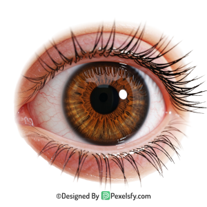 Eye Png Image 1
