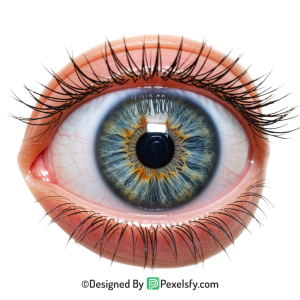 Eye Png Image 11