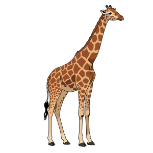 Giraffe Png Image 10