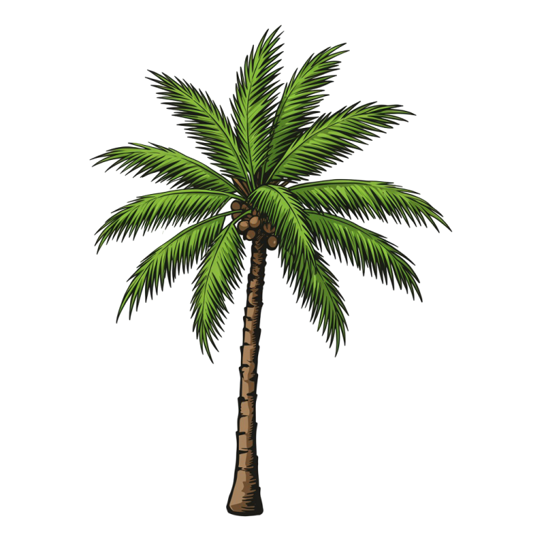 Palm Tree Png 10