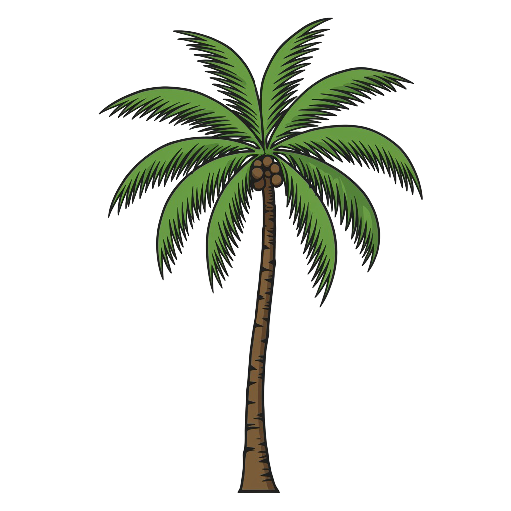 Palm Tree Png 6