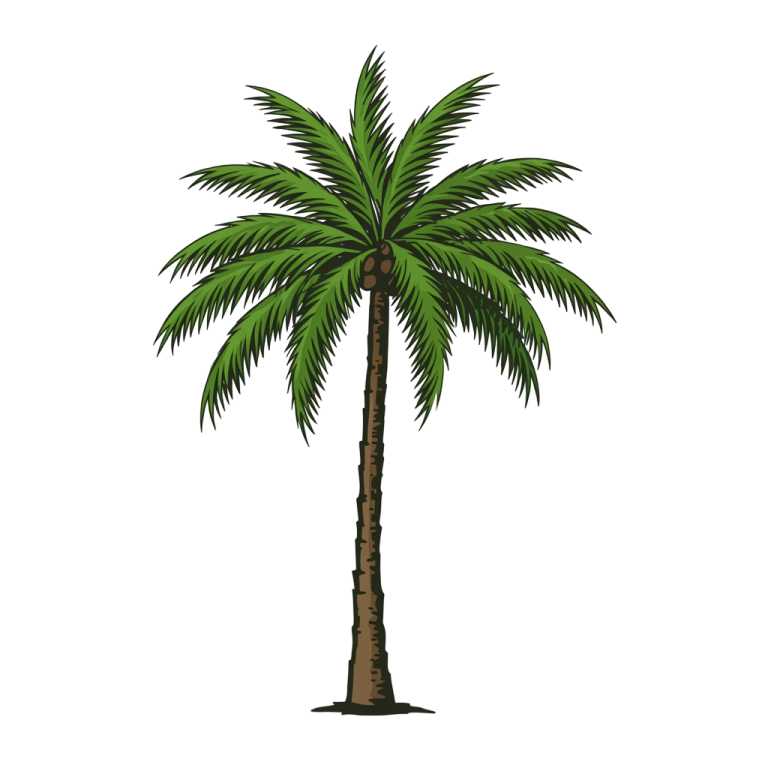 Palm Tree Png 9