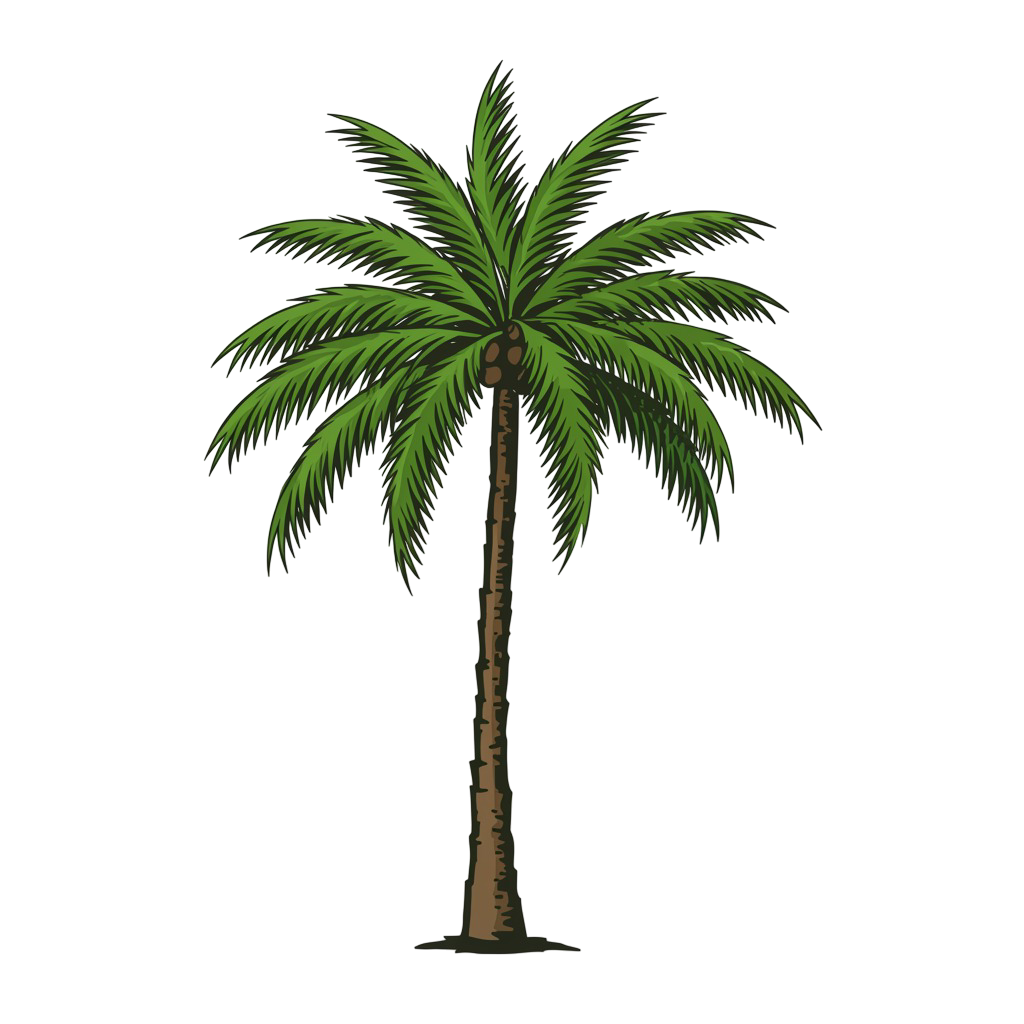 Palm Tree Png 9