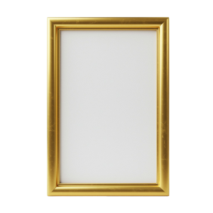 Photo Frame Png 18
