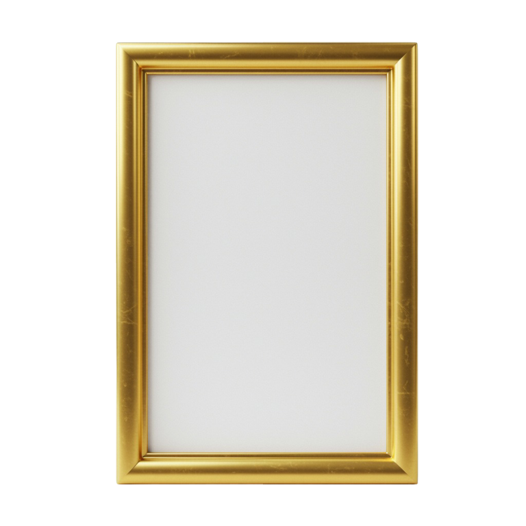 Photo Frame Png 18