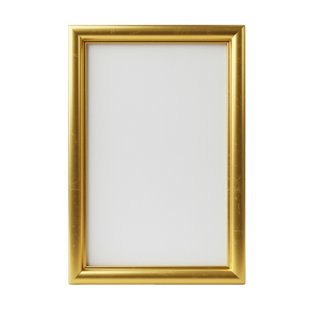 Photo Frame Png 18