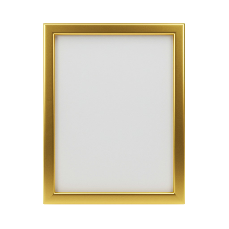 Photo Frame Png 22