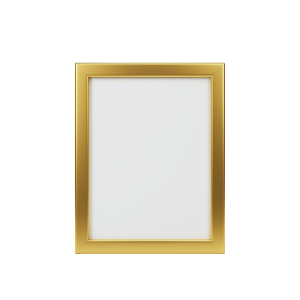 Photo Frame Png 24