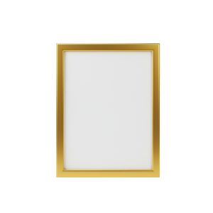 Photo Frame Png 26