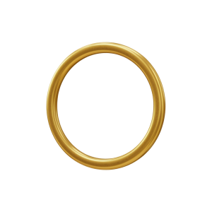 Photo Frame Png 29