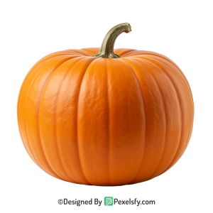 Pumpkin Png Image 10