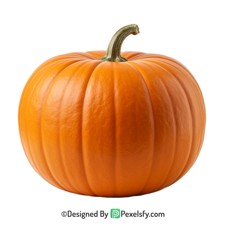 Pumpkin Png Image 10
