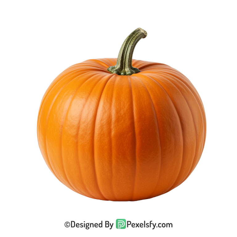Pumpkin Png Image 11