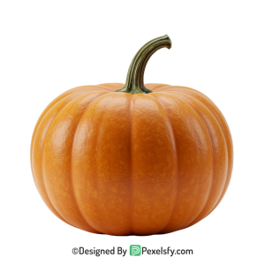 Pumpkin Png Image 12