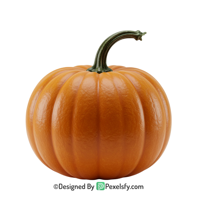Pumpkin Png Image 13