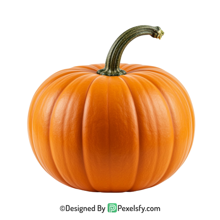 Pumpkin Png Image 18