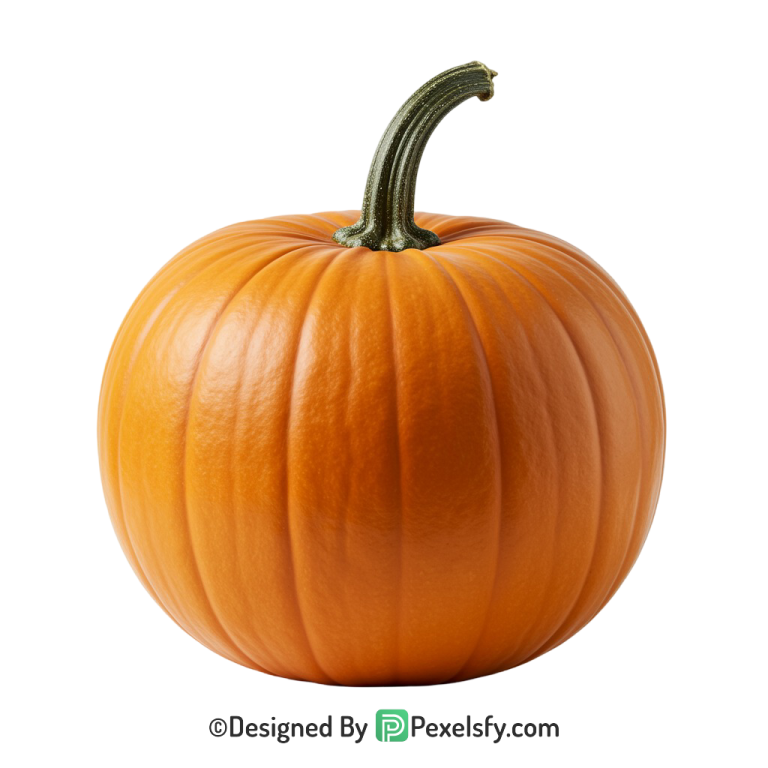Pumpkin Png Image 19