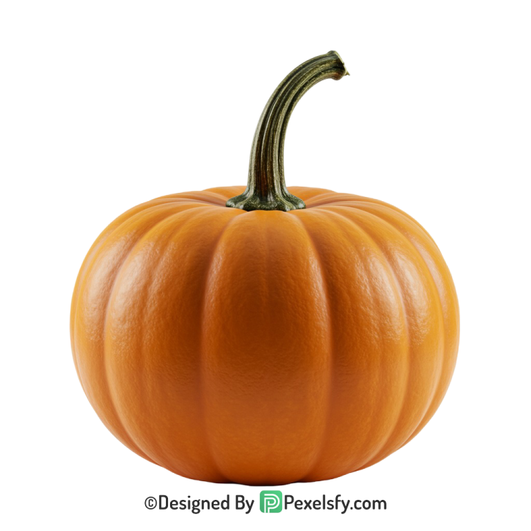 Pumpkin Png Image 20