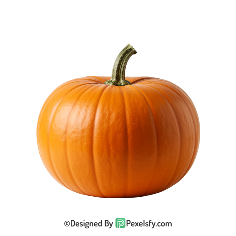 Pumpkin Png Image 22
