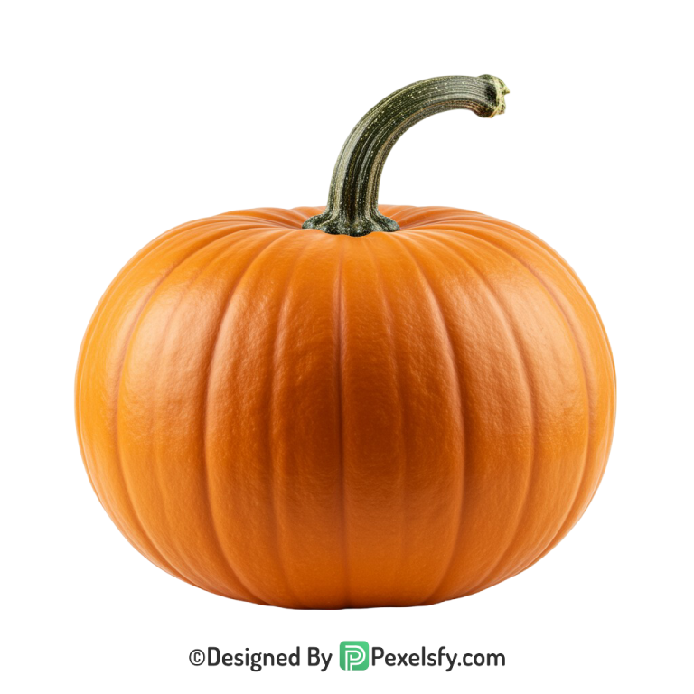 Pumpkin Png Image 26