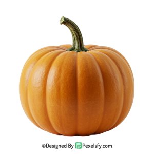 Pumpkin Png Image 27