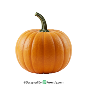 Pumpkin Png Image 29