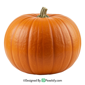 Pumpkin Png Image 3