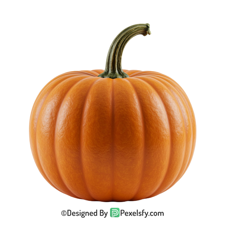 Pumpkin Png Image 30