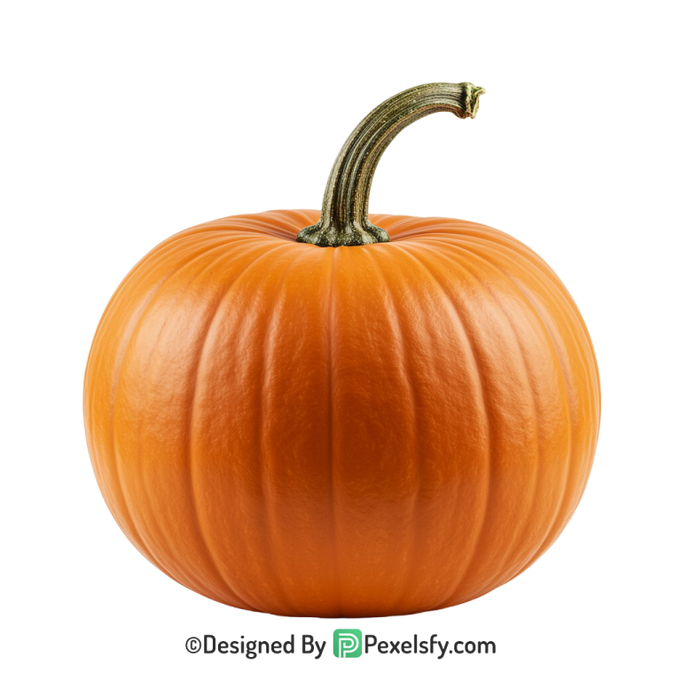 Pumpkin Png Image 31
