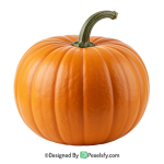 Pumpkin PNG