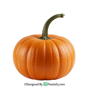 Pumpkin Png Image 6